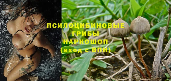 гидропоника Абинск