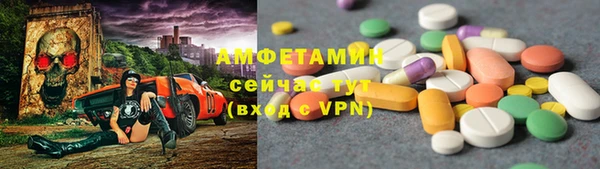 стаф Алексин