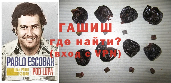 стаф Алексин