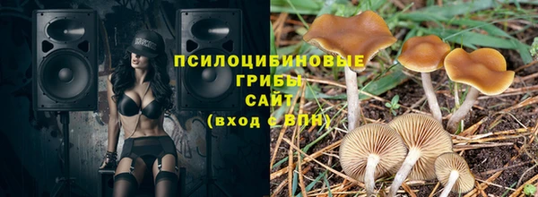 гидропоника Абдулино